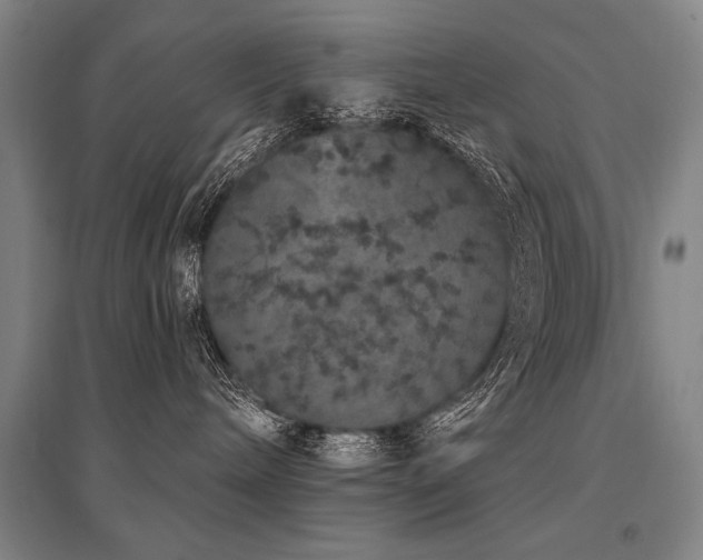X0000095510240200712141430