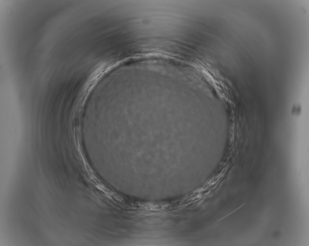 X0000095510241200712141430