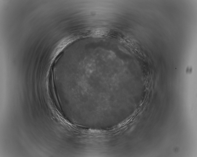 X0000095510242200712141430