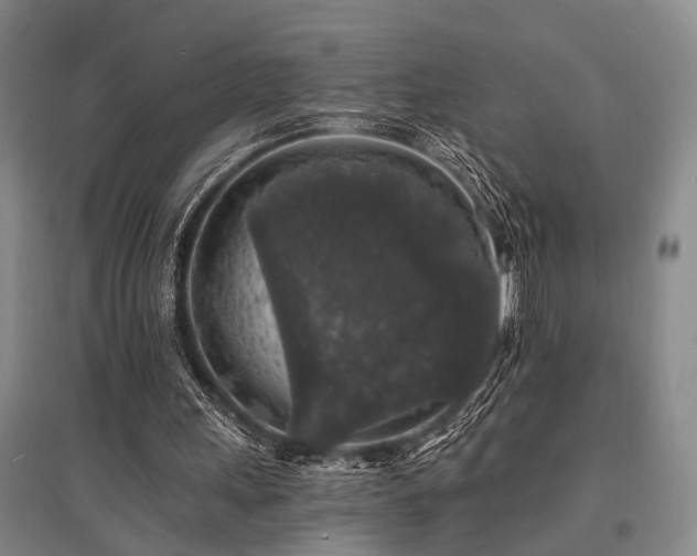 X0000095510243200712141430