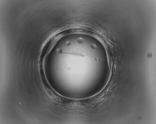 X0000095510244200712141430