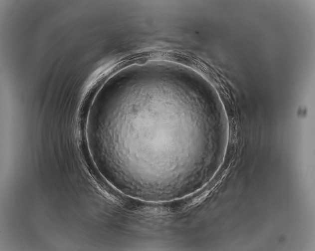 X0000095510245200712141430