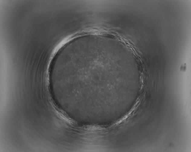 X0000095510246200712141430
