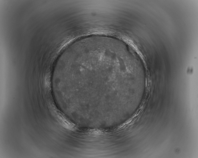 X0000095510249200712141430