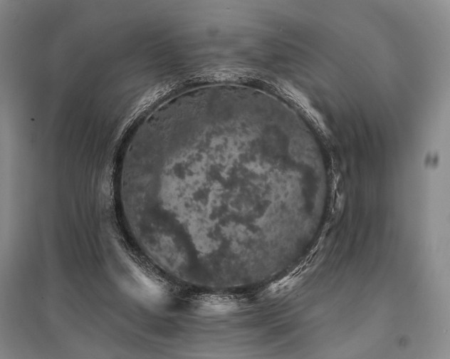 X0000095510250200712141430