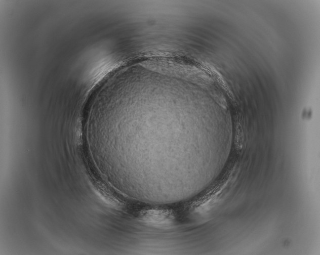 X0000095510251200712141430