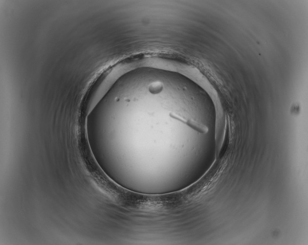 X0000095510252200712141430