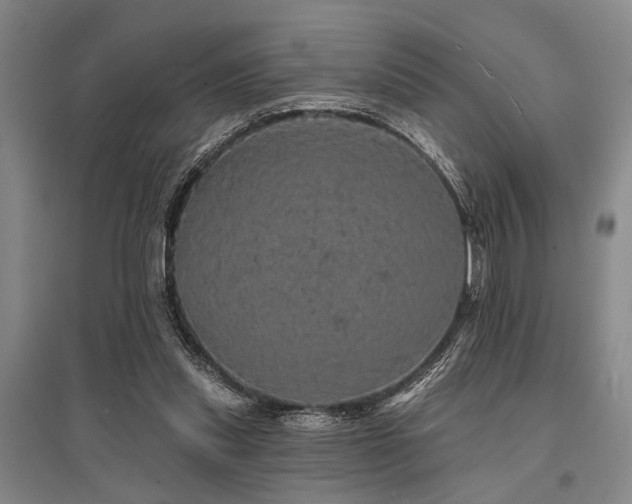 X0000095510253200712141430