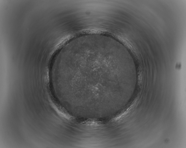 X0000095510254200712141430