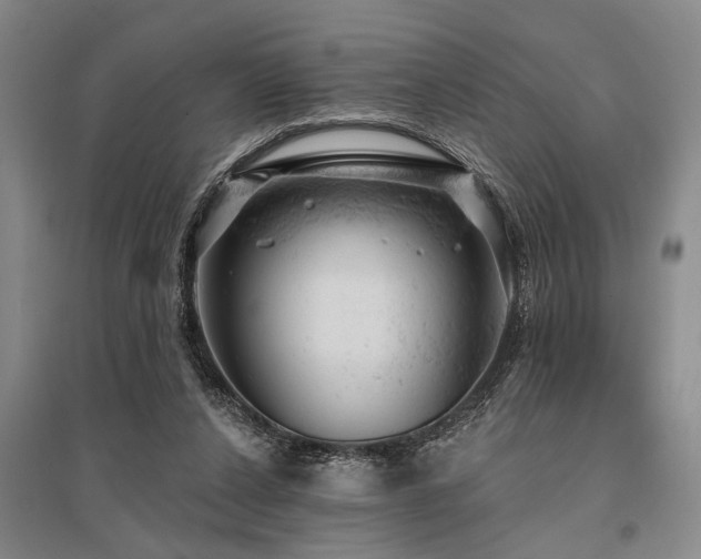 X0000095510256200712141430