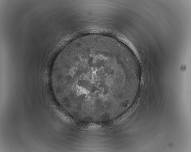 X0000095510257200712141430