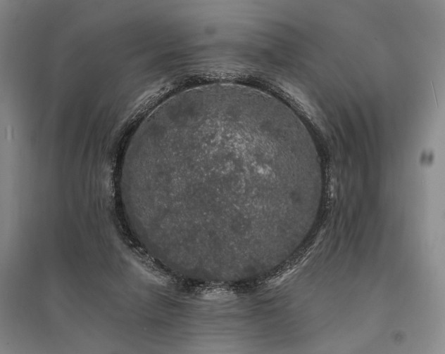 X0000095510258200712141430