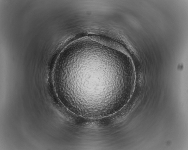 X0000095510259200712141430