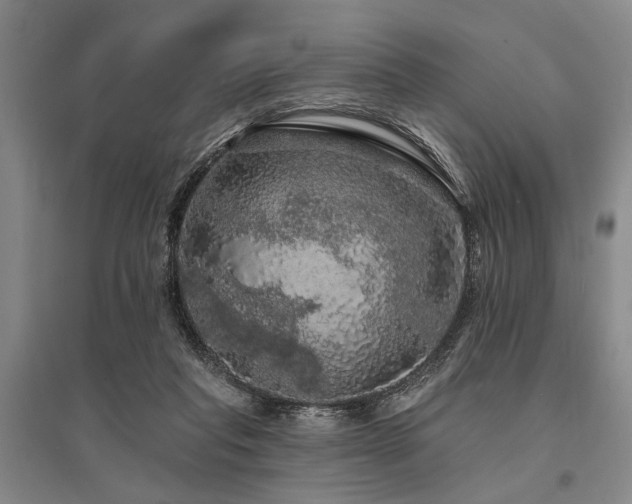 X0000095510261200712141430