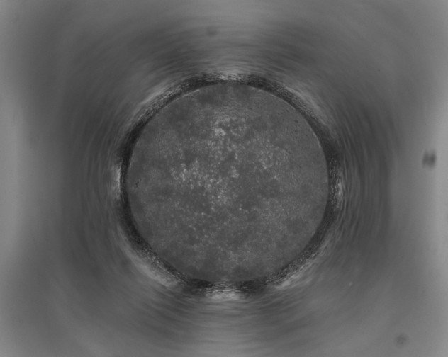 X0000095510262200712141430