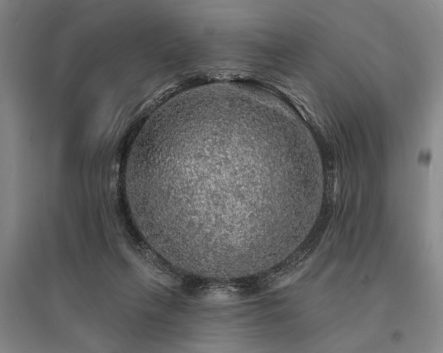 X0000095510263200712141430