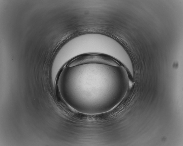 X0000095510264200712141430