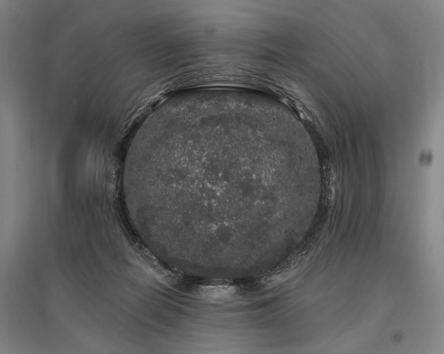 X0000095510266200712141430