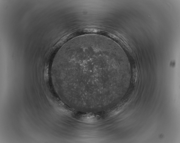 X0000095510267200712141430