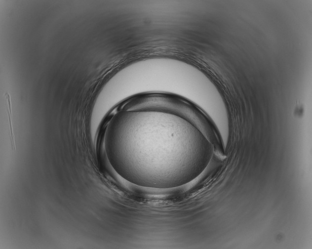 X0000095510268200712141430