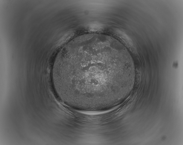 X0000095510269200712141430