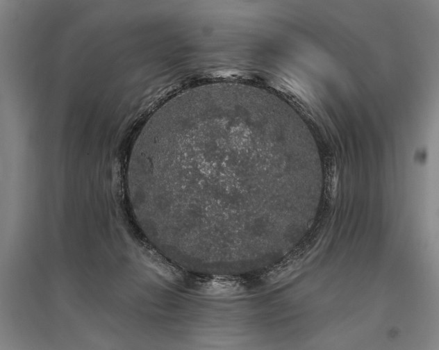 X0000095510270200712141430