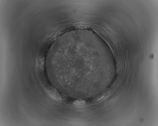 X0000095510271200712141430