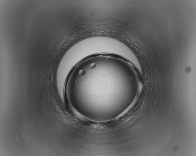 X0000095510272200712141430