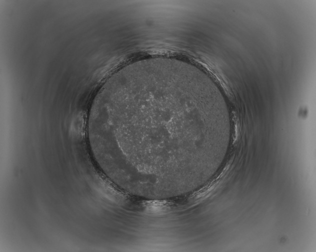 X0000095510273200712141430