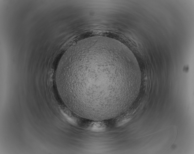 X0000095510275200712141430