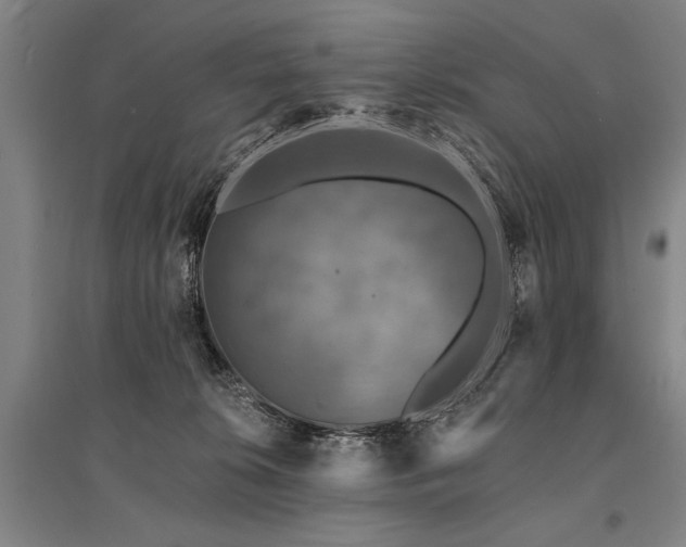 X0000095510276200712141430