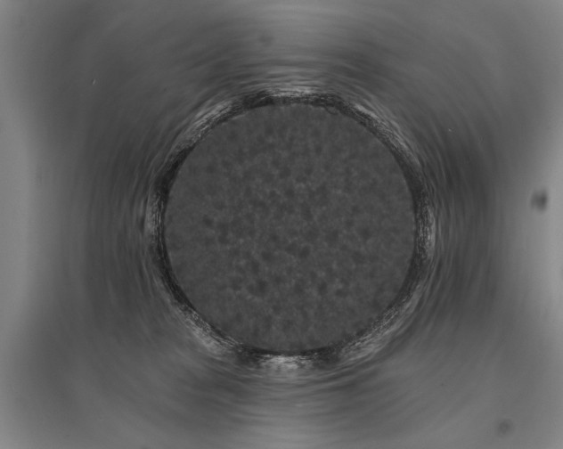 X0000095510277200712141430