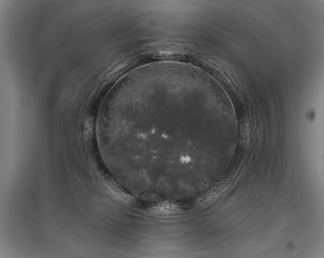 X0000095510278200712141430