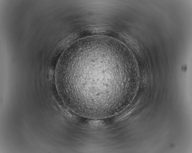 X0000095510281200712141430