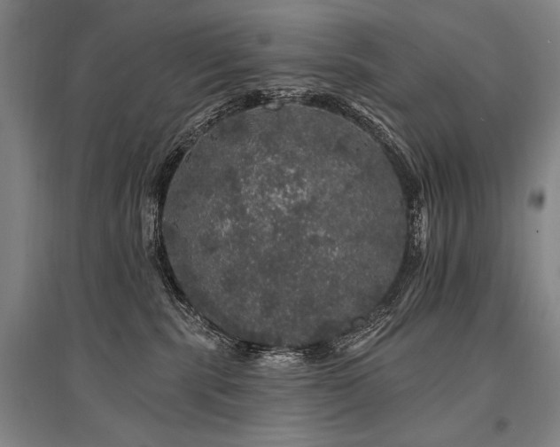 X0000095510283200712141430