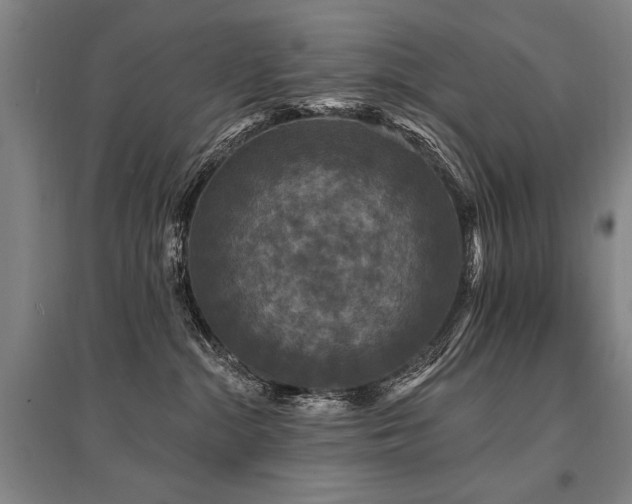 X0000095510284200712141430