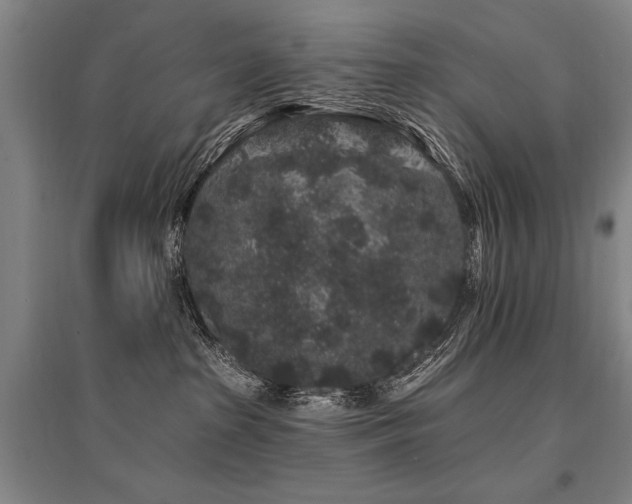 X0000095510285200712141430