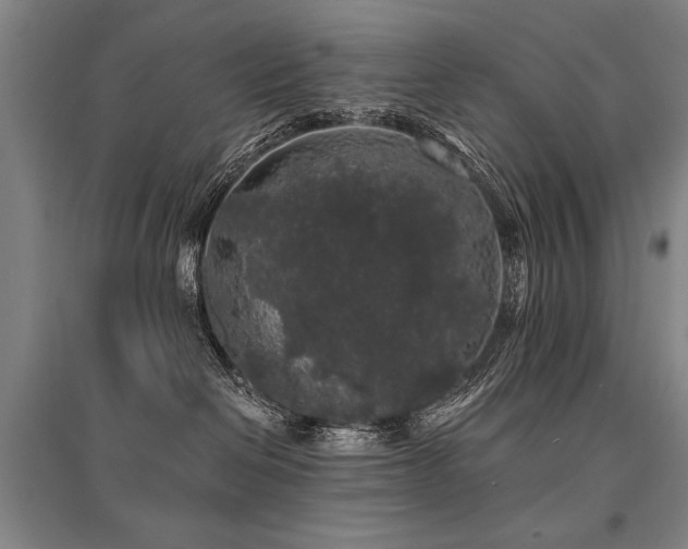 X0000095510286200712141430