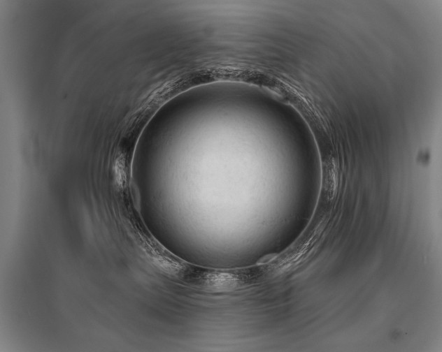 X0000095510287200712141430