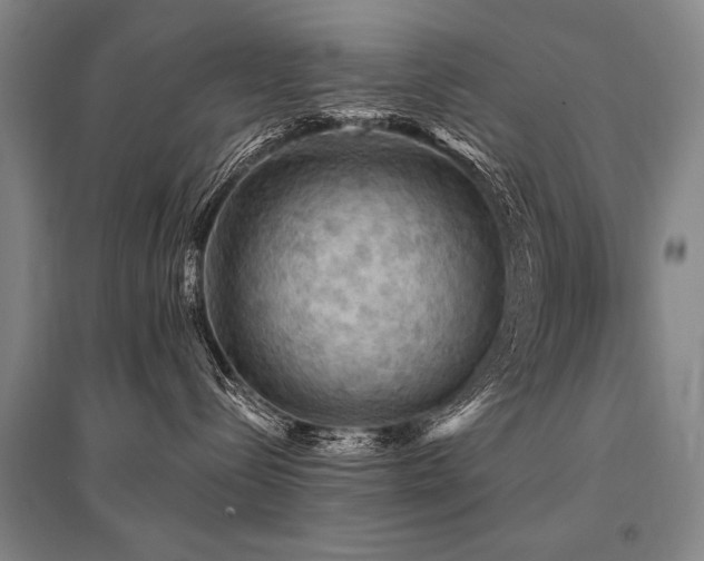 X0000095510288200712141430