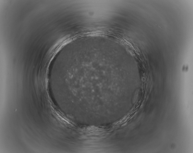 X0000095510290200712141430