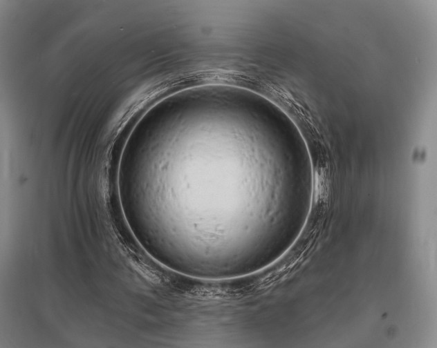 X0000095510291200712141430