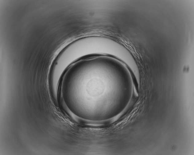 X0000095510292200712141430