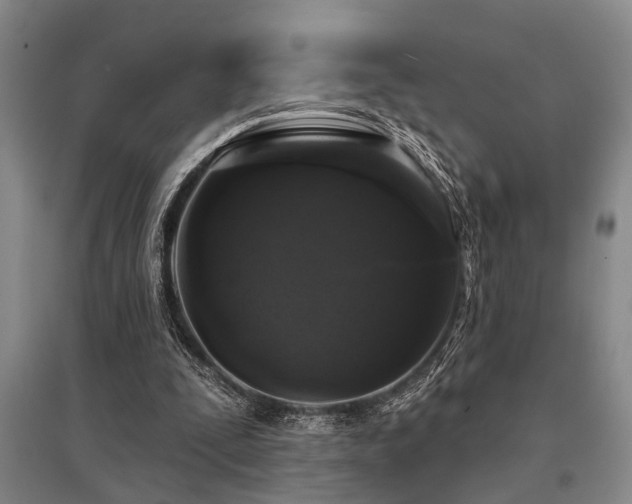 X0000095510295200712141429