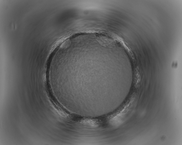 X0000095510299200712141429