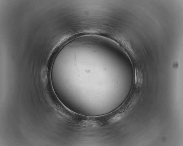 X0000095510300200712141429