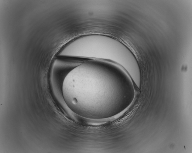 X0000095510301200712141429