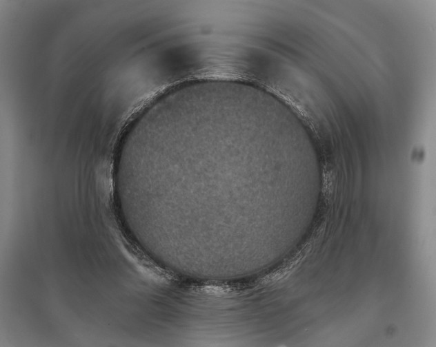 X0000095510302200712141429
