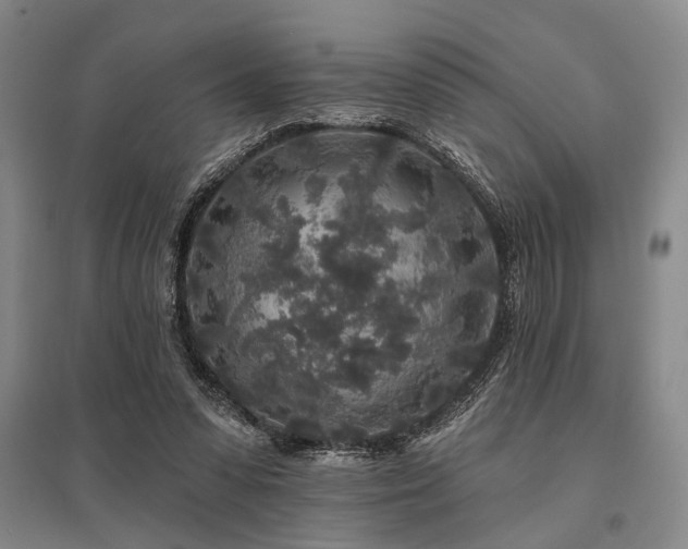 X0000095510303200712141429