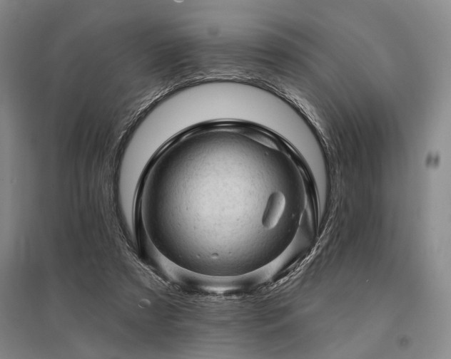 X0000095510305200712141429